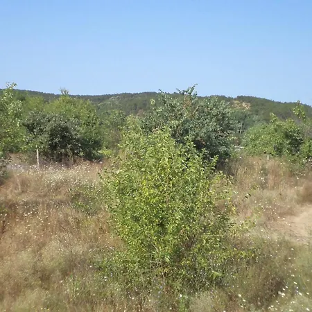 Apartamento In Sunny Hill 3 Sozopol