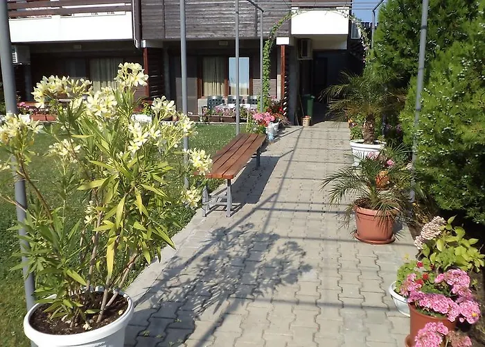 In Sunny Hill 3 *