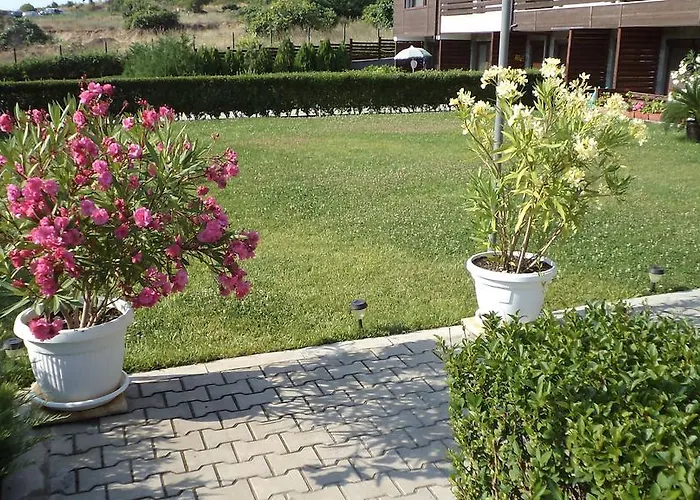 In Sunny Hill 3 *