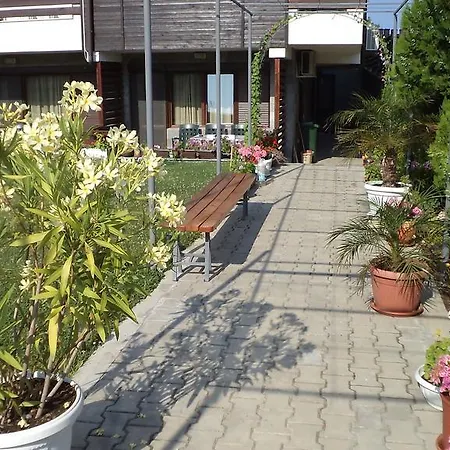 In Sunny Hill 3 *